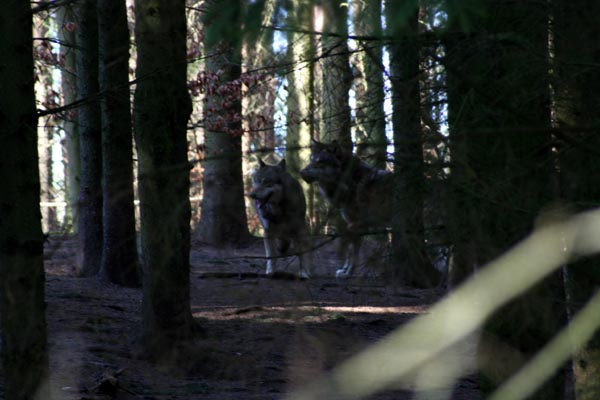 NUP Natur- und Umweltpark Gstrow